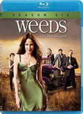 Weeds Temporada 6 [720pp]